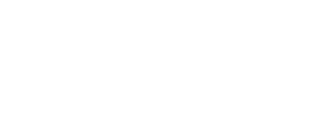 Dr. Igor Cardillo